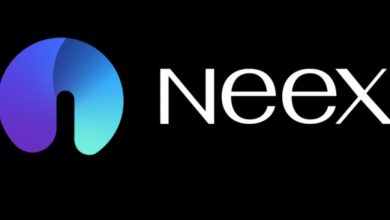 neex-broker-review:-what-new-traders-can-expect
